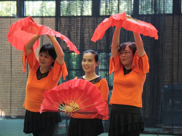 Tanz aller Kulturen 2017